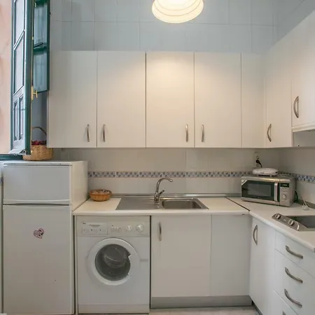 Apartment Apartamento La Setas Seville